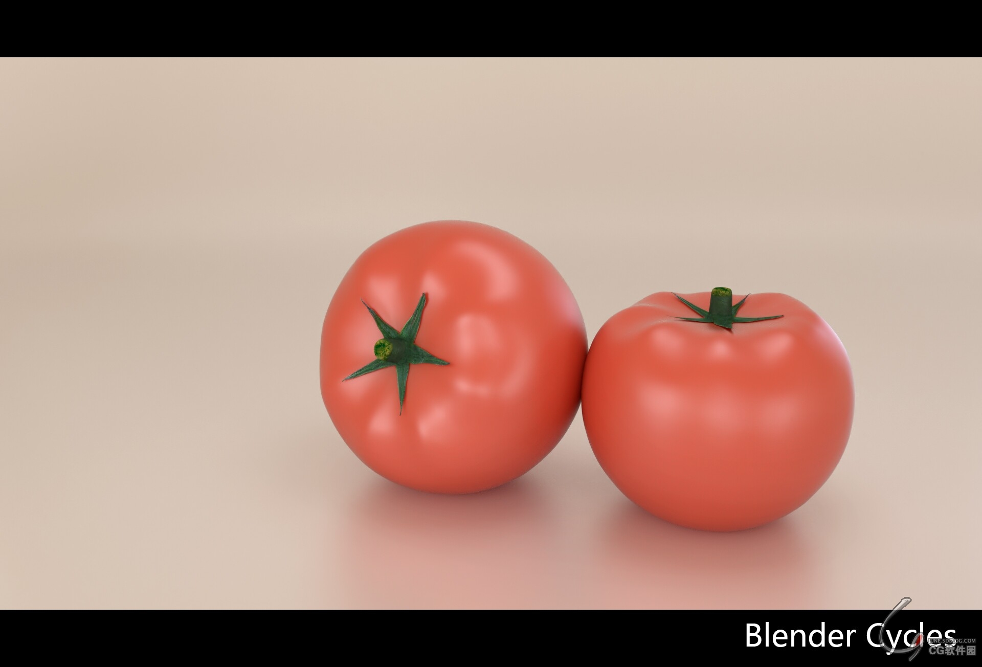 tomate2.jpg